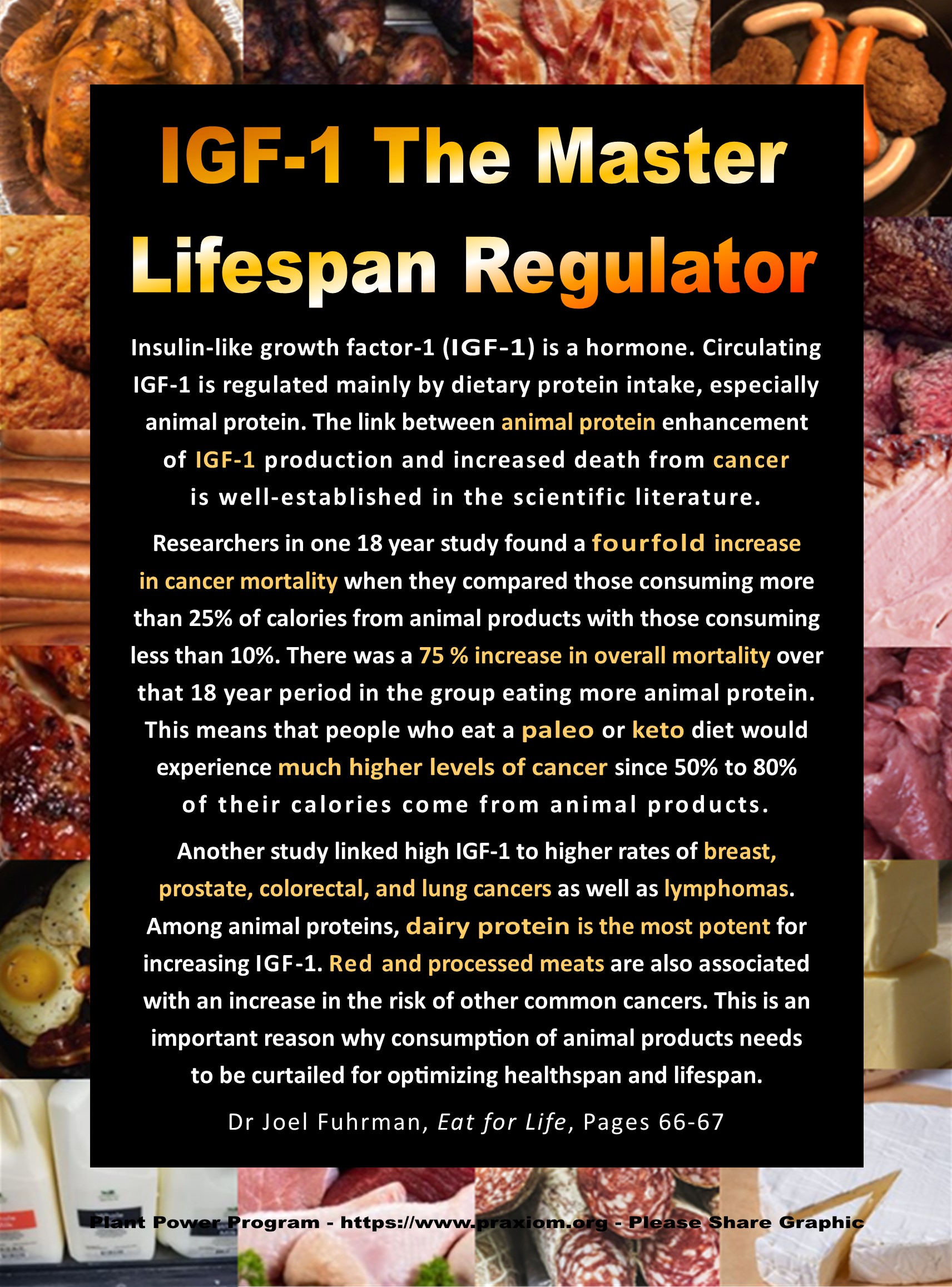 IGF-1 The Master Lifespan Regulator
