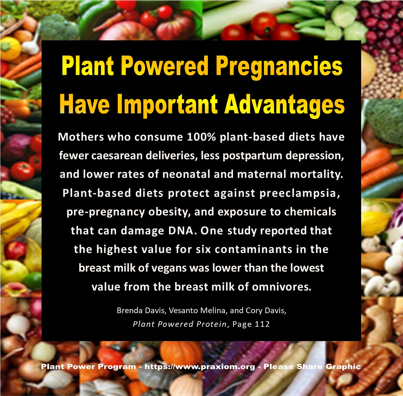 Plant Powered Pregnancies Have Important Advantages - Brenda Davis