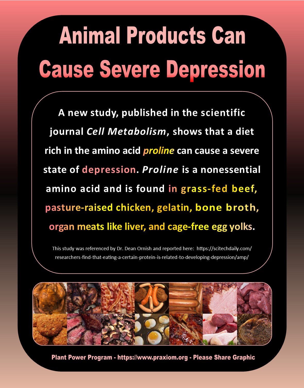 Animal Products Can Cause Severe Depression