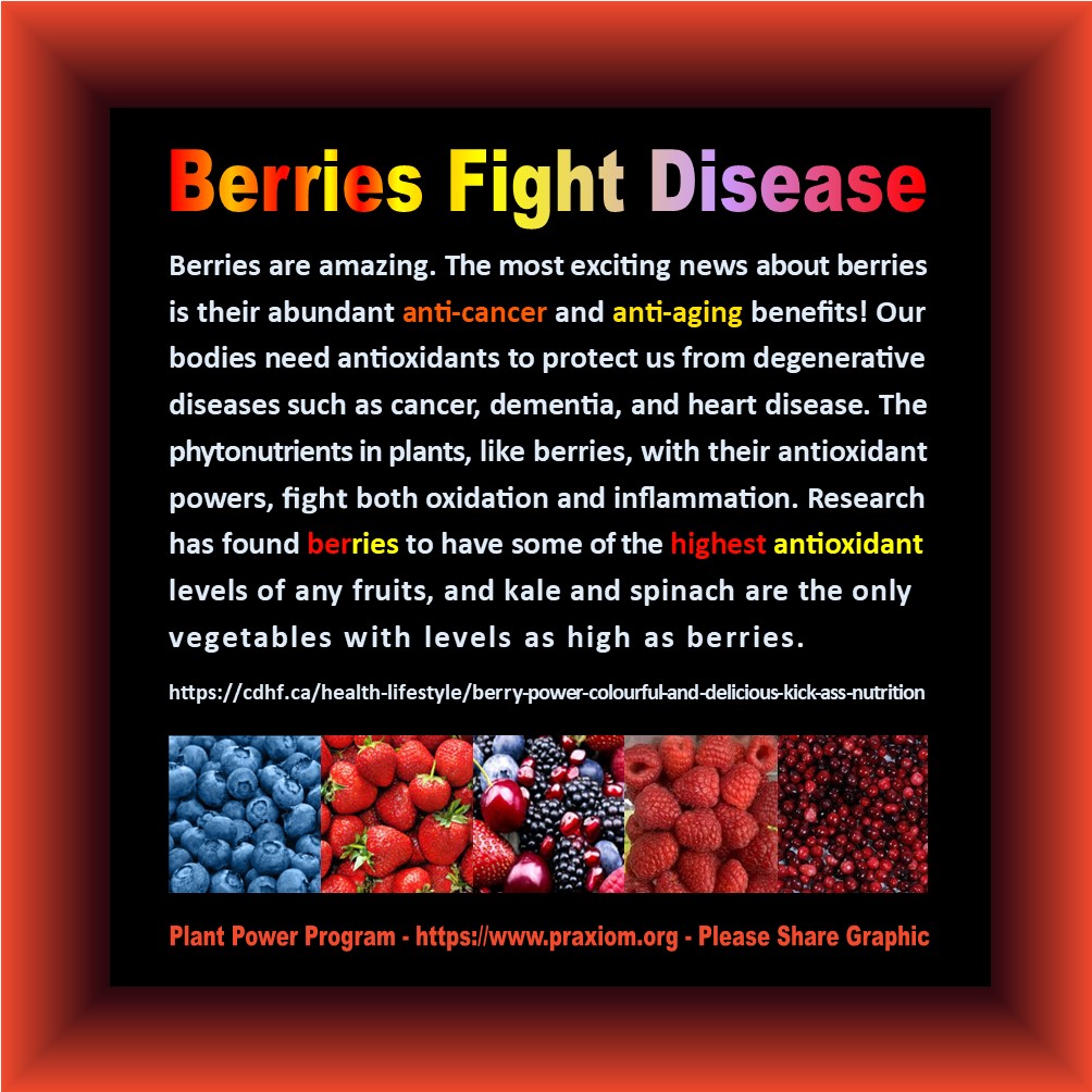 Berries Fight Aging