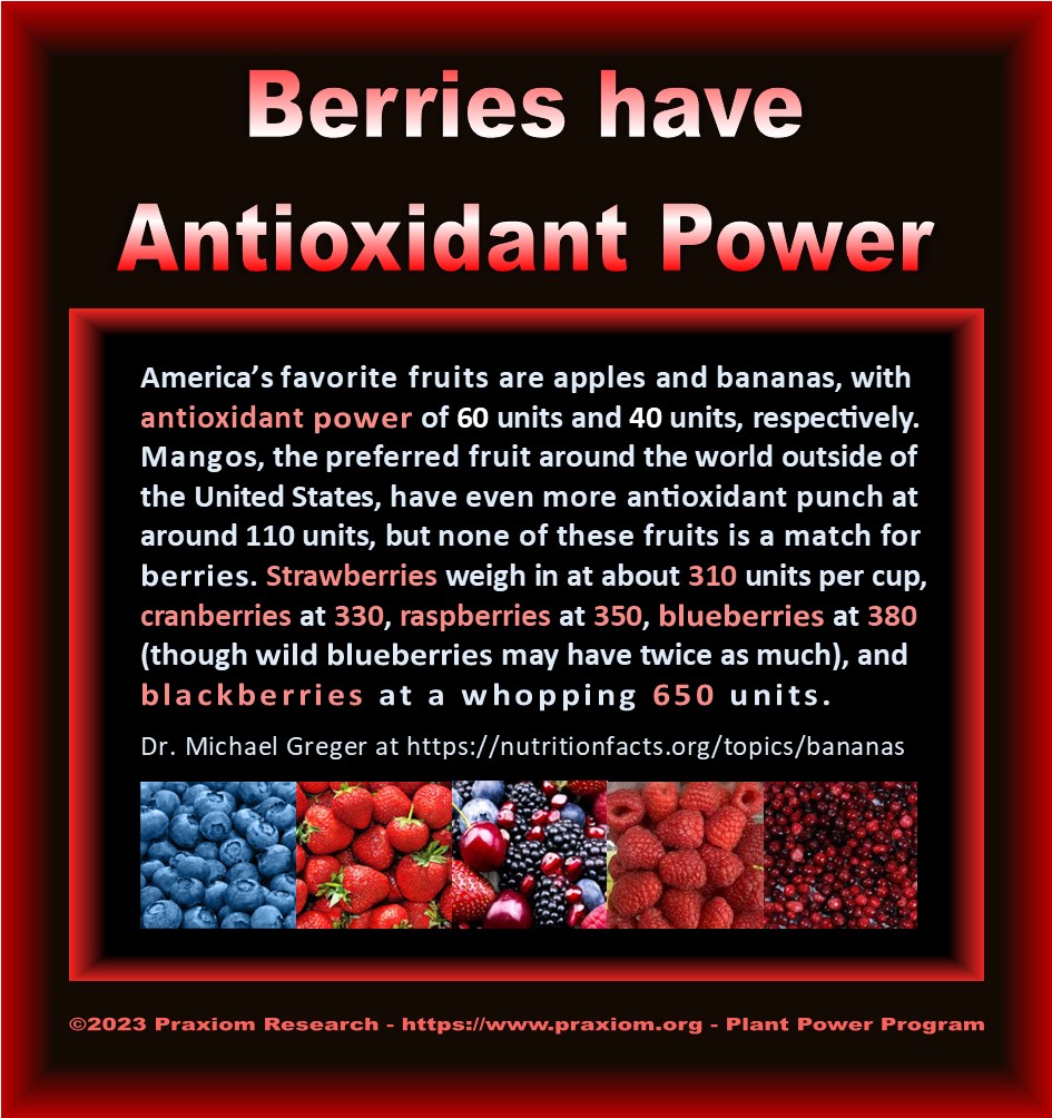 Berries have Antioxidant Power - Dr. Michael Greger