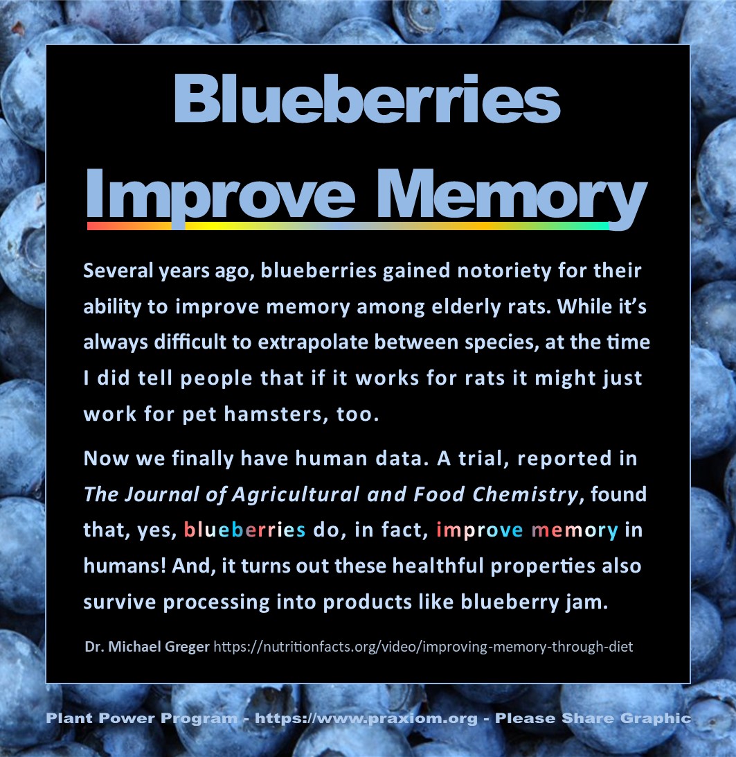 Blueberries Improve Memory - Dr Michael Greger