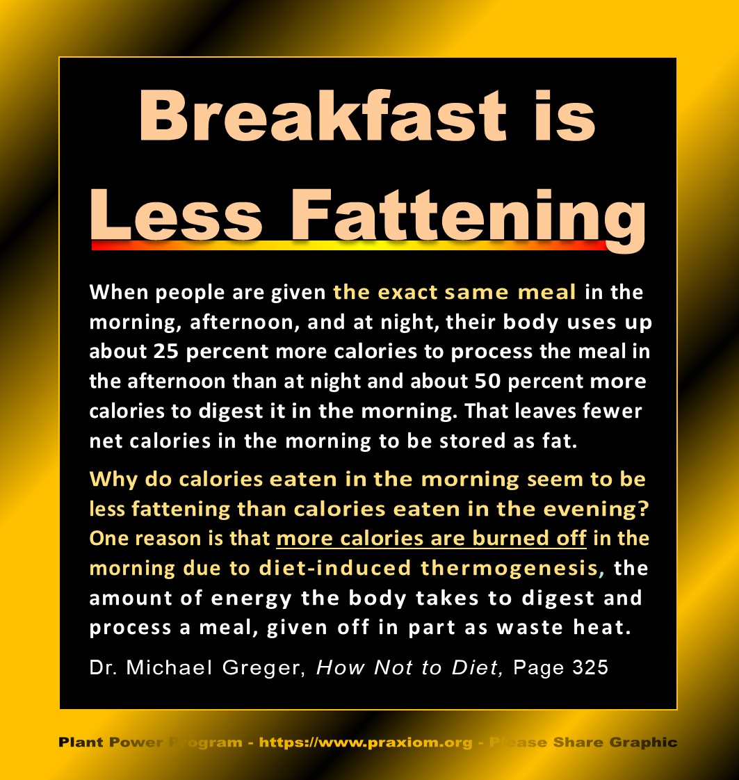 Breakfast is Less
        Fattening