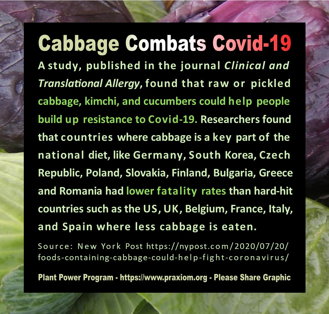 Cabbage Combats Covid