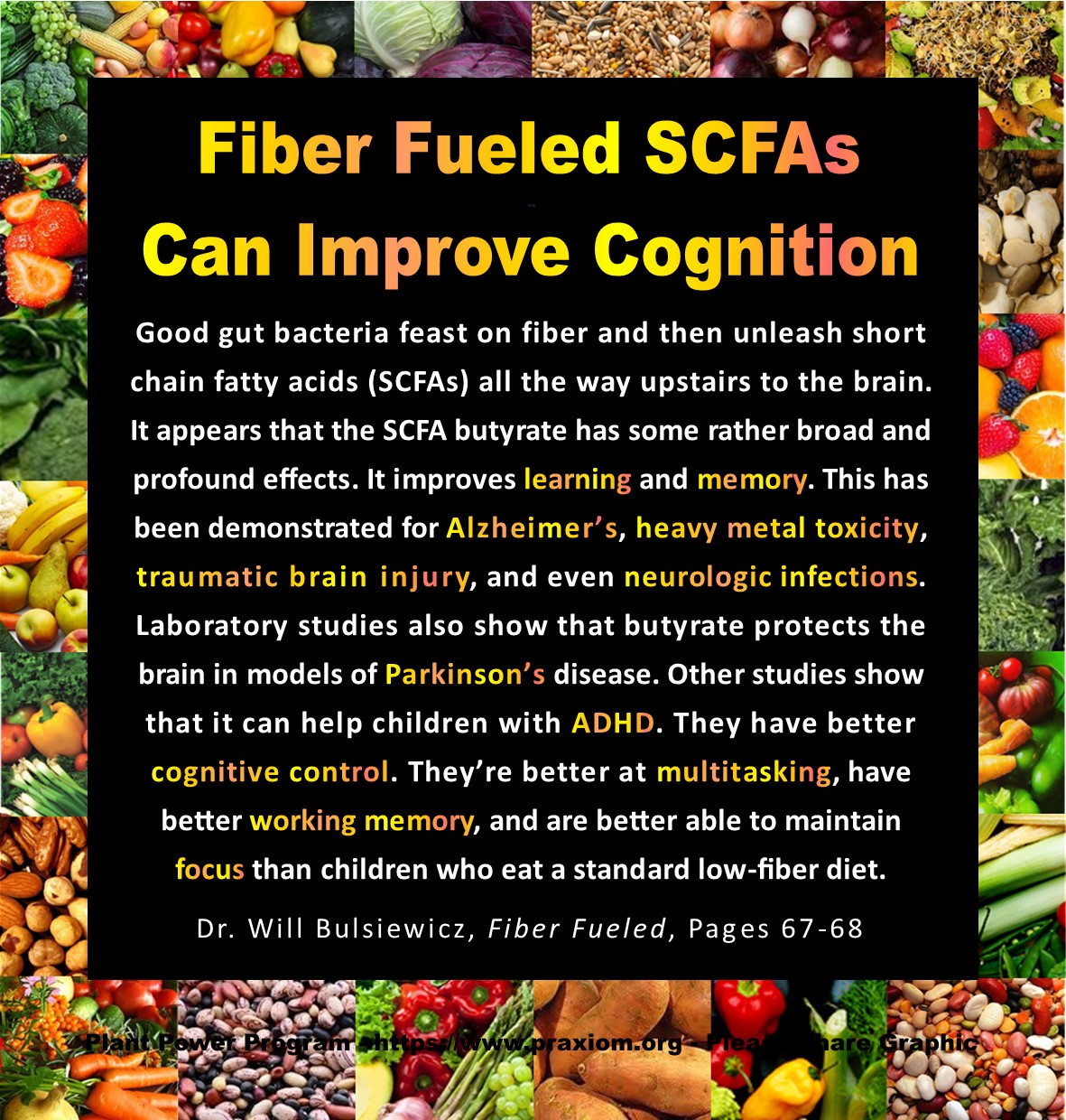 Fiber Fueled SCFAs Can Improve Cognition - Dr Will Bulsiewicz