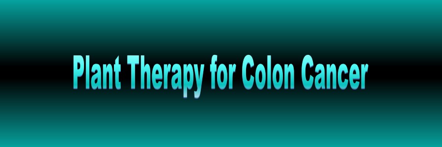 Use Plant
        Power to Conquer Colon Cancer