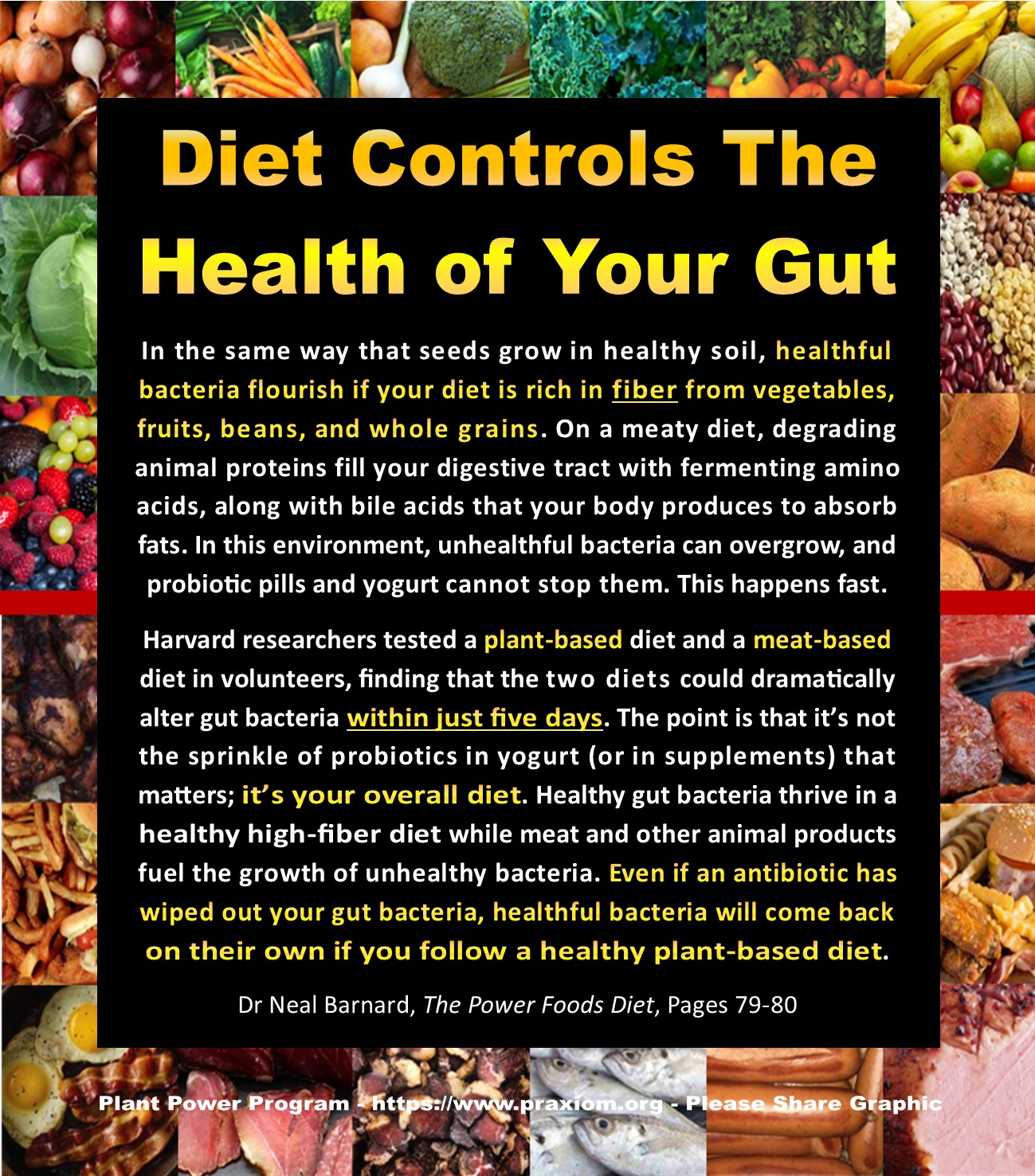 Diet Controls The Health of Your Gut - Dr Neal Barnard
