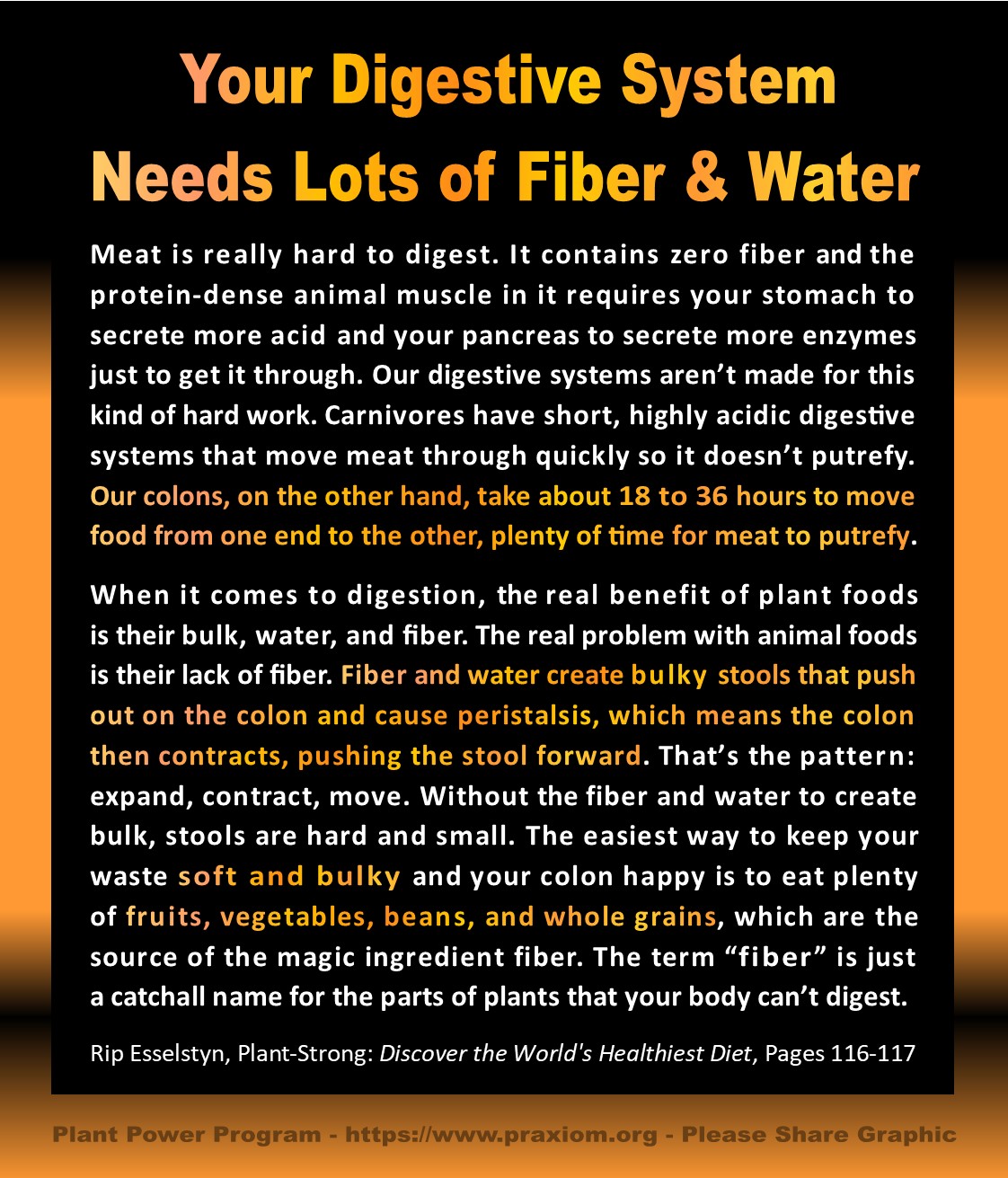 Your Digestive System Needs Planty of Fiber and Water - Rip Esselstyn