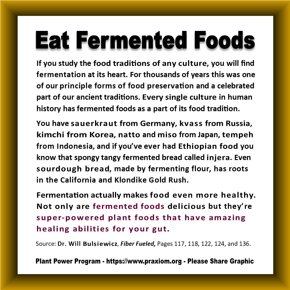 Eat Fermented Foods - Dr. Will Bulsiewicz