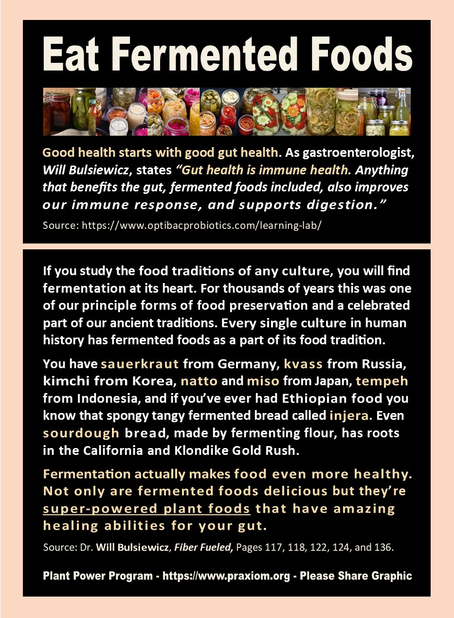 Eat Fermented Foods - Dr. WIll Bulsiewitz