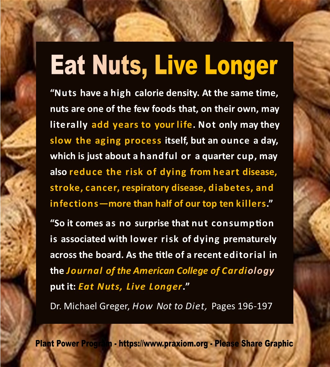 Eat Nuts