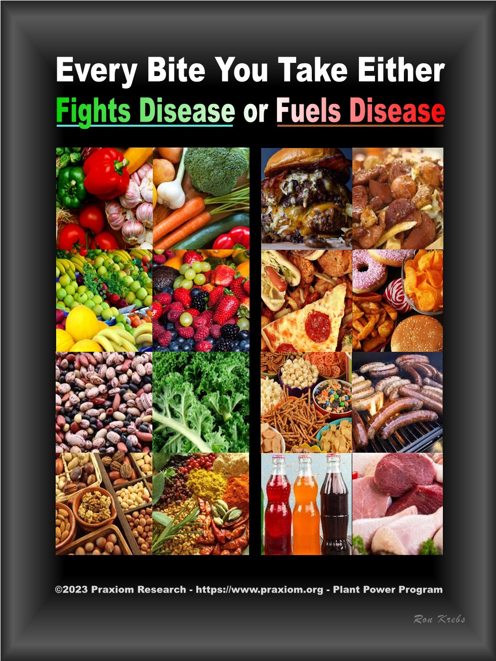 Every Bite You Take Either Fuels Disease or Fights Disease - Ron                Krebs
