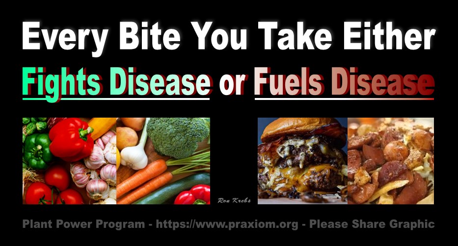 Every Bite You Take Either Fights Disease or
          Feeds Disease