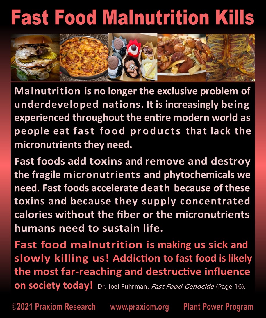 Fast Food Malnutrition Kills
