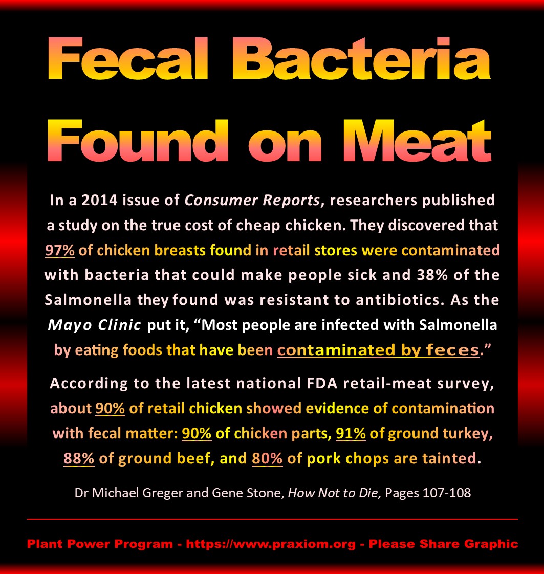 Fecal Bacteria Found on Meat - Dr Michael Greger
