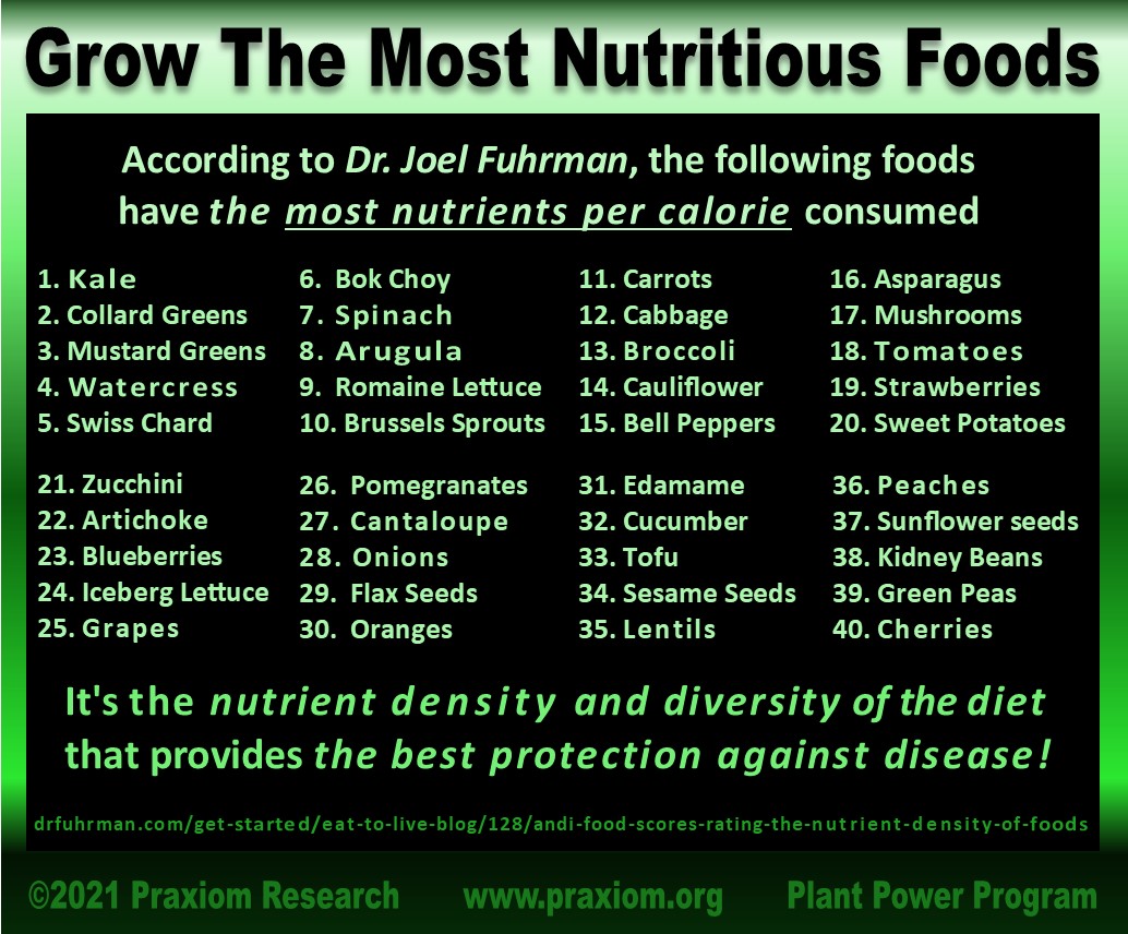 Grow The Most Nutritious Foods