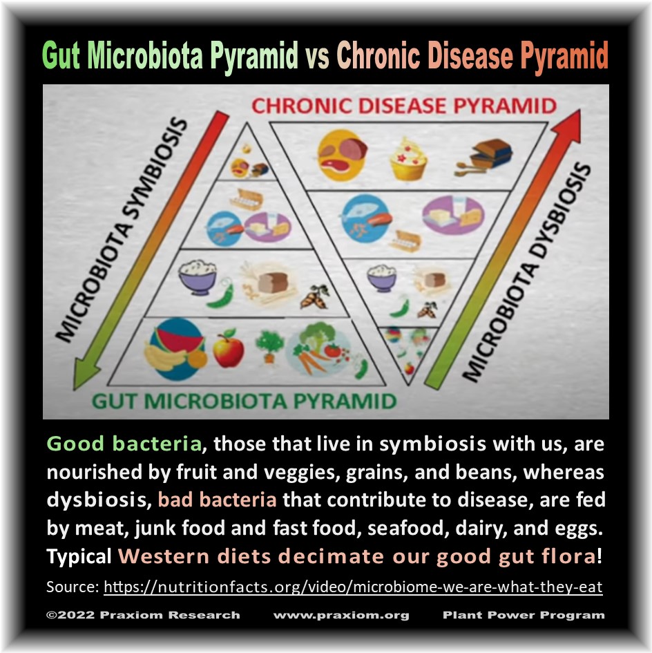 Chronic Disease Pyramid - Dr. Michael Greger
