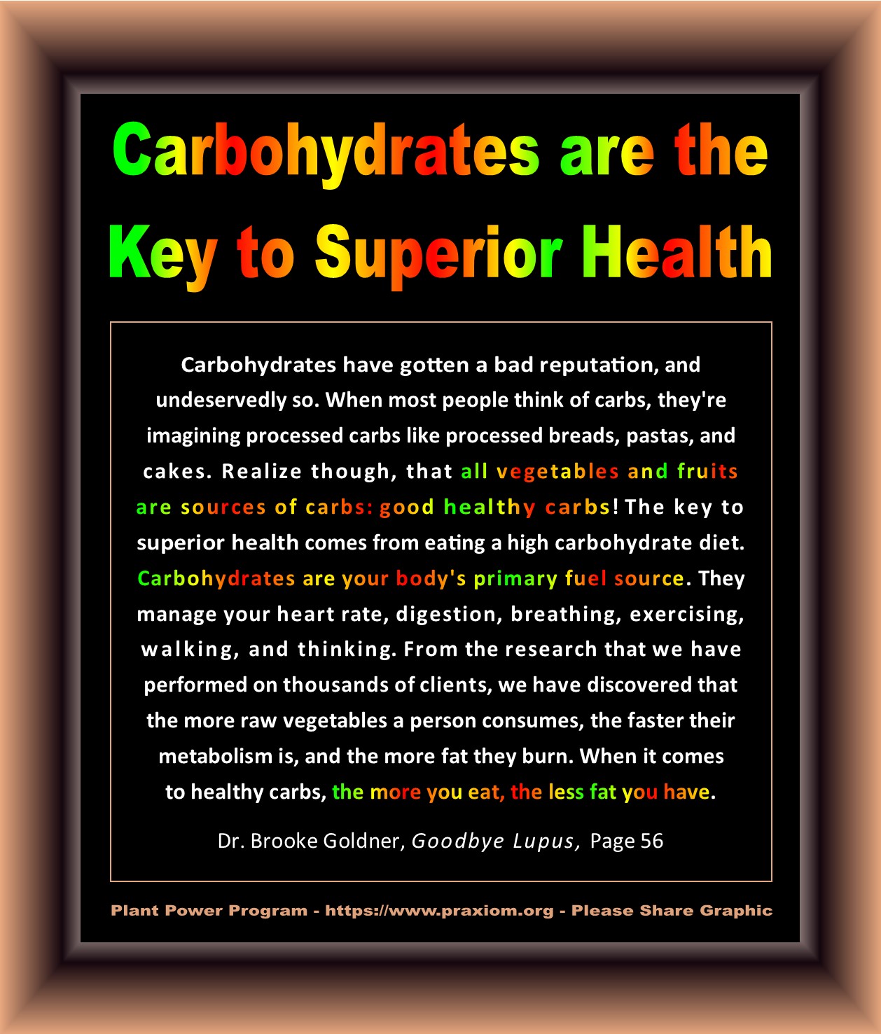 Healthy Carbs are the Key to Superior Health - Dr. Brook
        Goldner