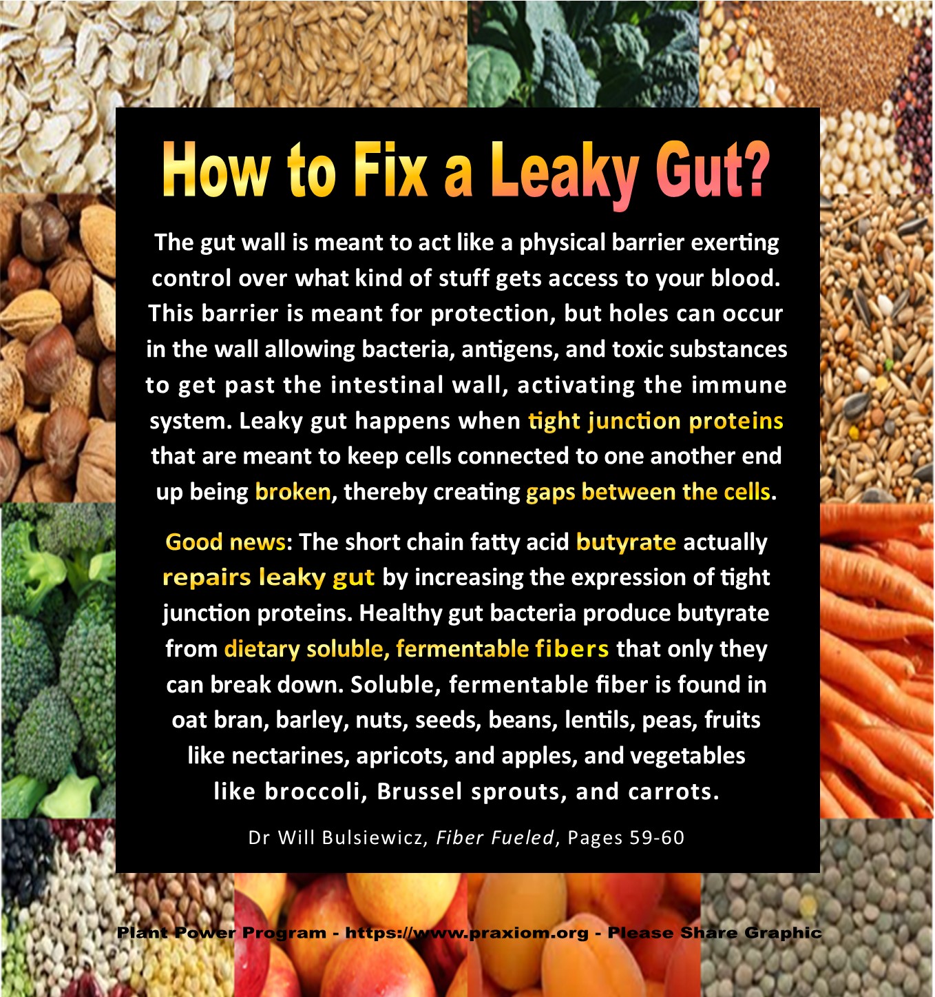 How to Fix Leaky Gut - Dr Will Bulsiewicz