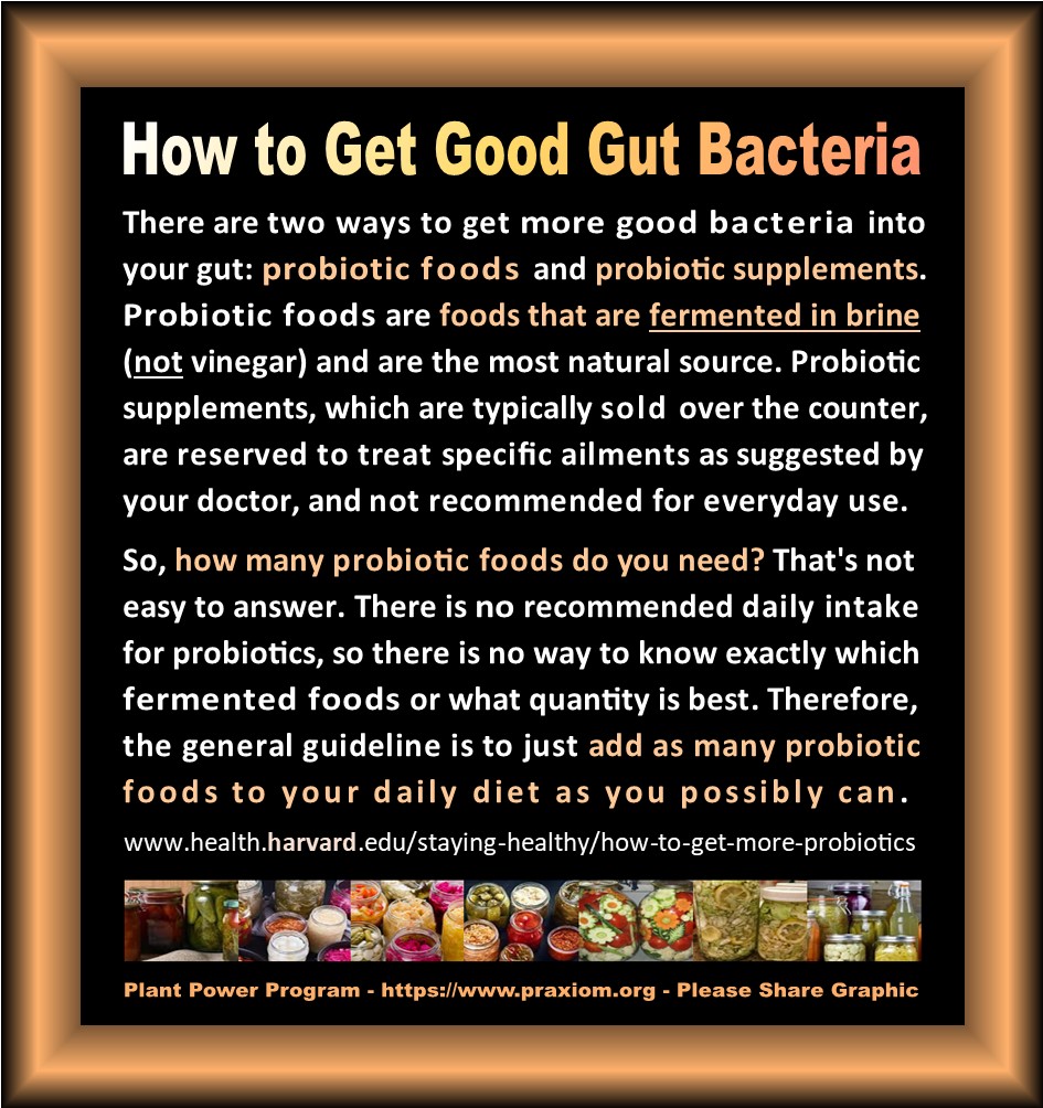 How to Get Good Gut Bacteria