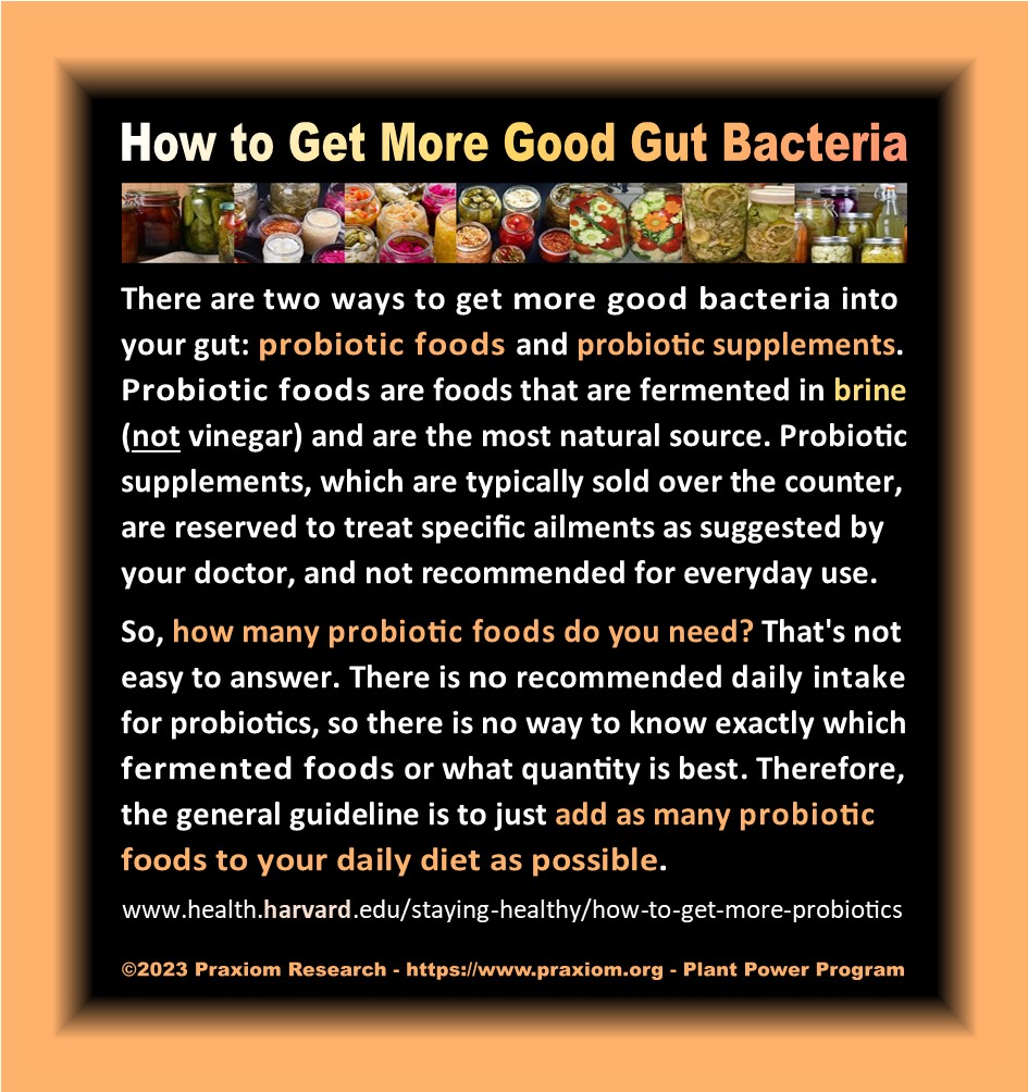 How to get more good gut bacteria