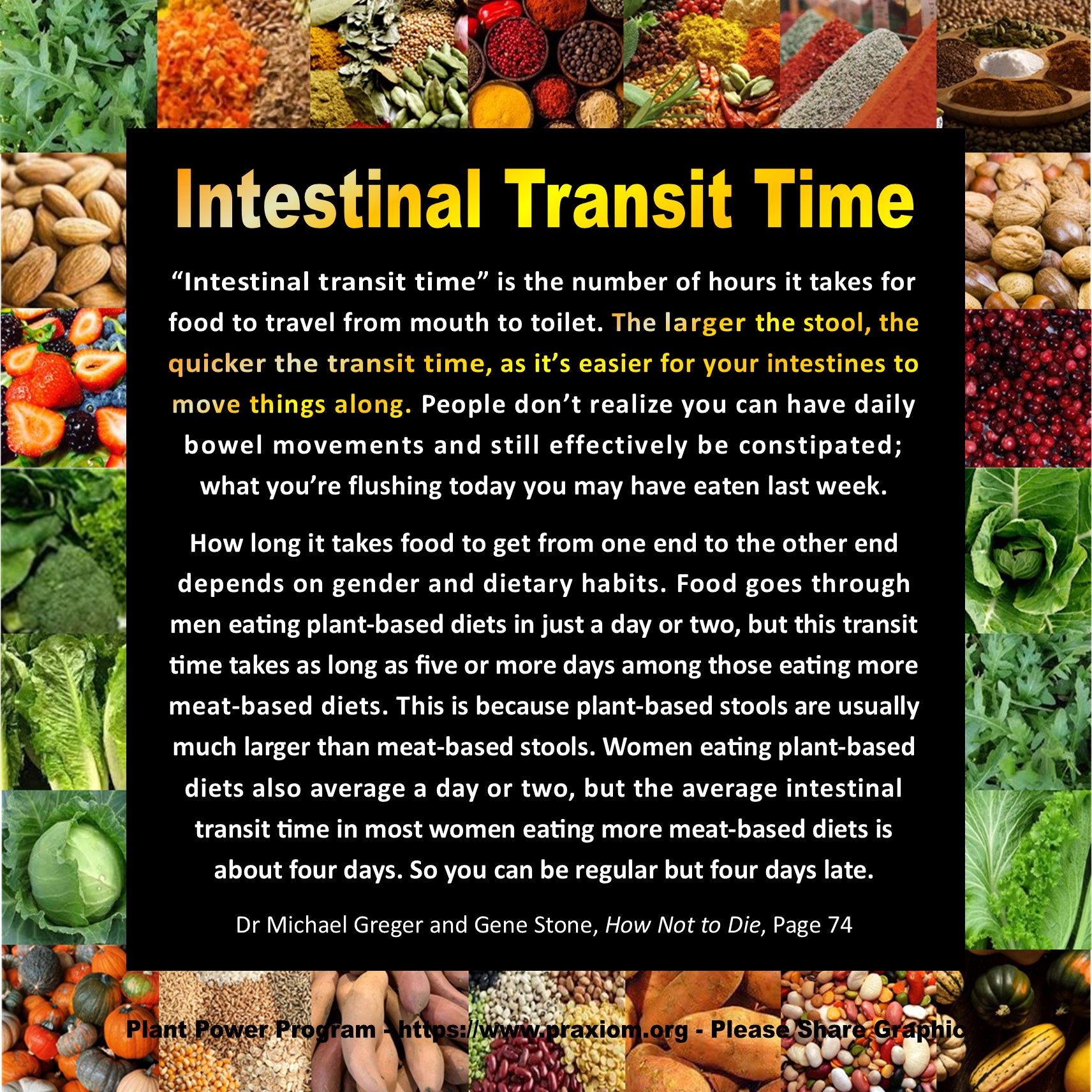 Intestinal Transit Time - Dr Michael Greger