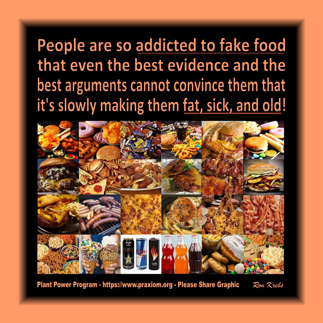 People Are Addicted to Fake Food - Ron Krebs