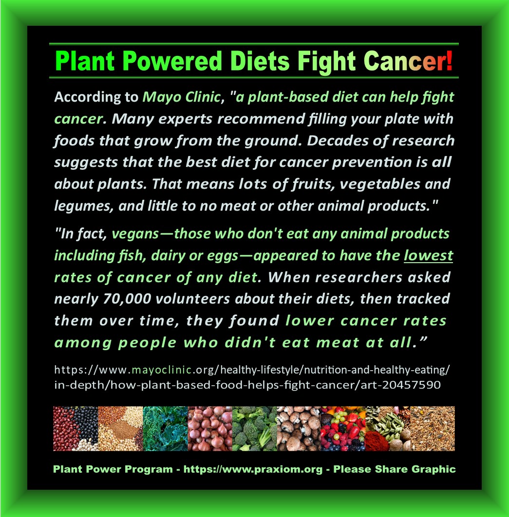 Plant powered
        diets fight cancer