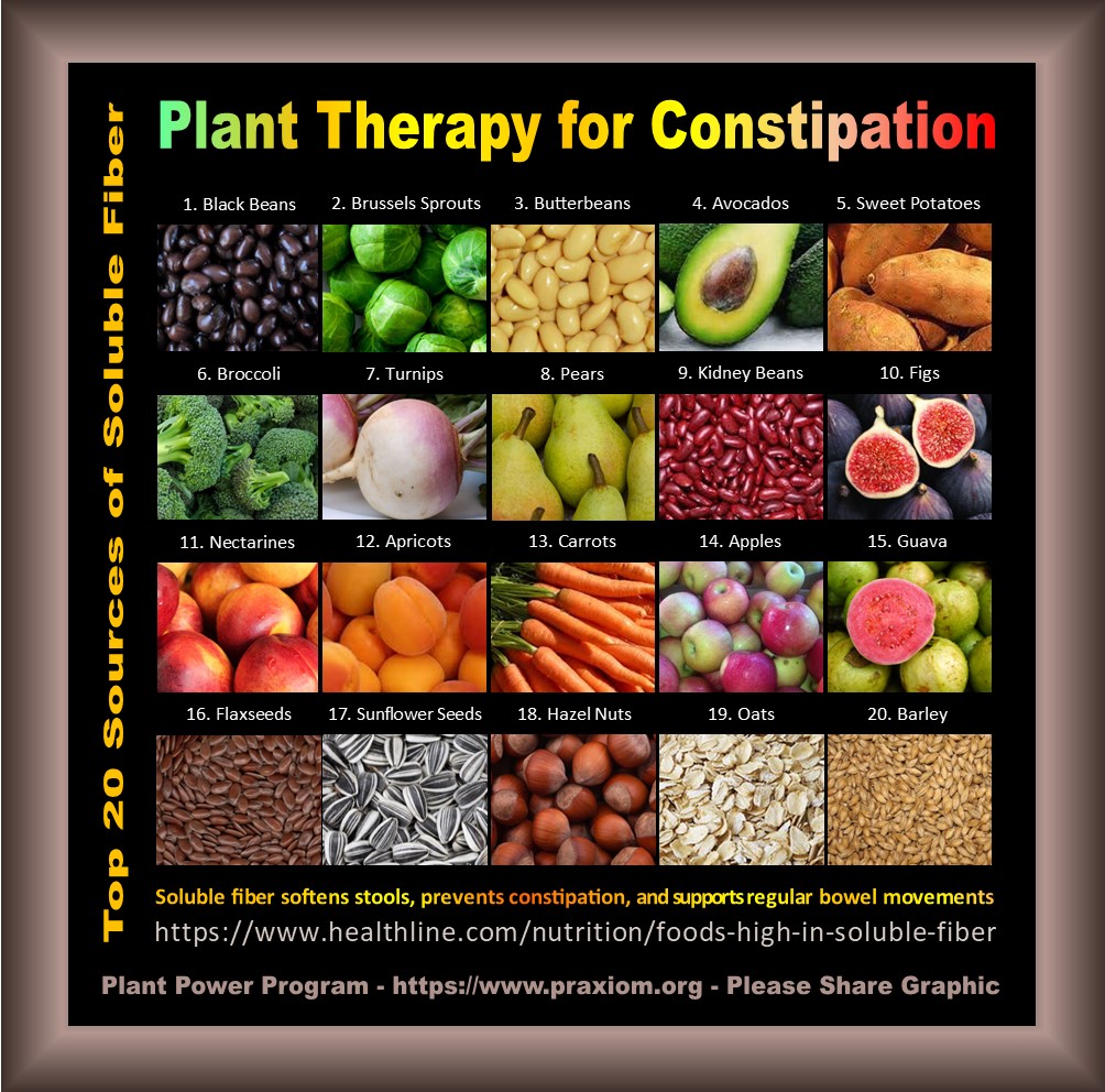 Plant Therapy for Constipation