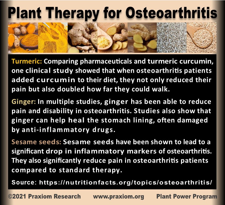 Plant Therapy for Osteoarthritis