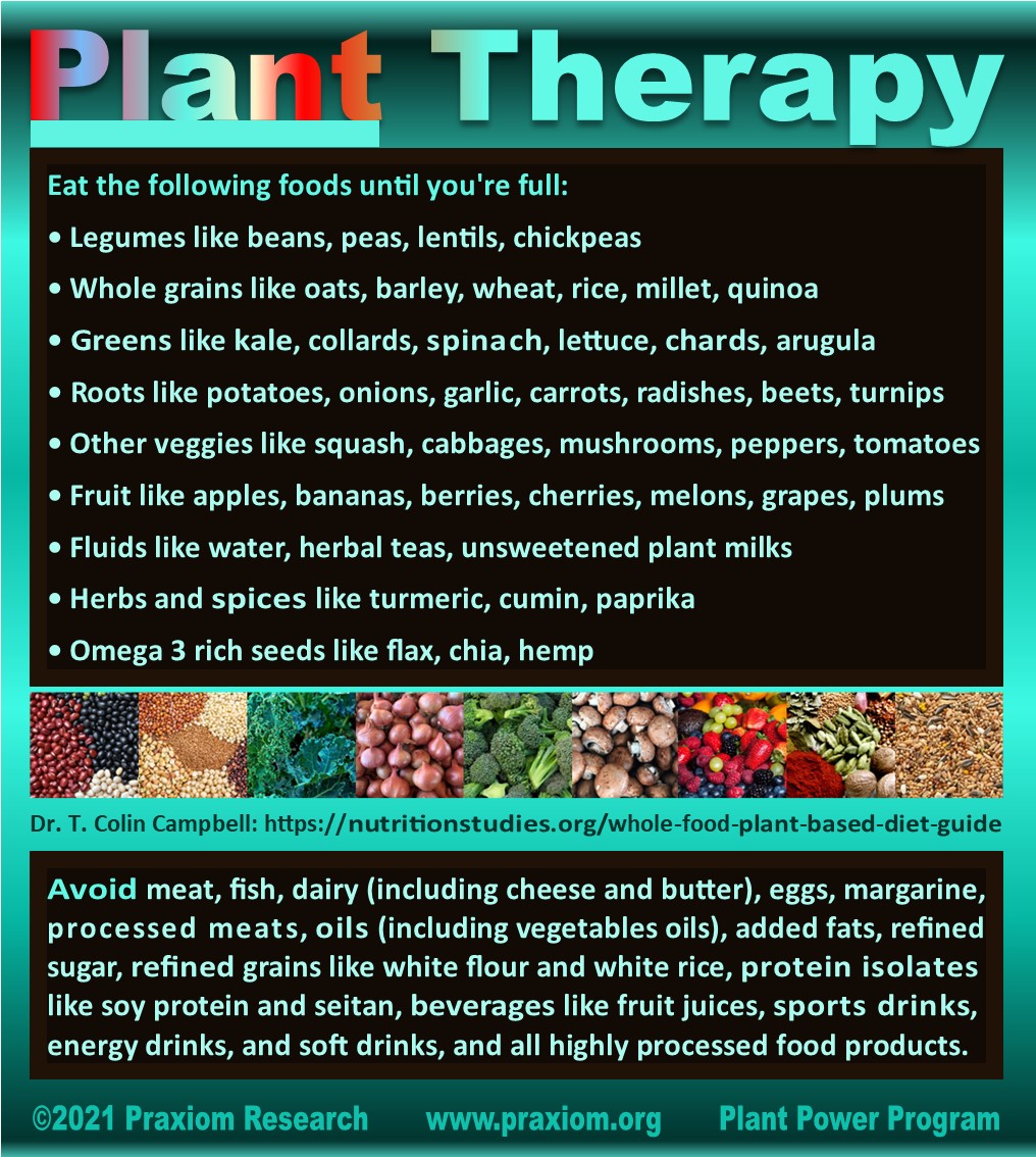 Plant Therapy by Dr. T. Colin Campbell
