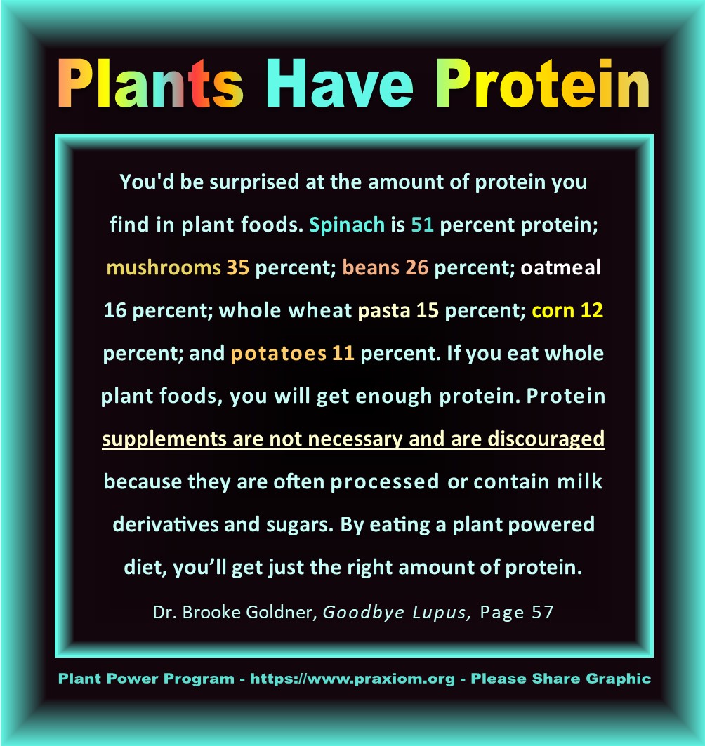 Plants Have Protein - Dr. Brooke Goldner