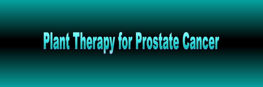 Use Plants to
        Conquer Prostate Cancer