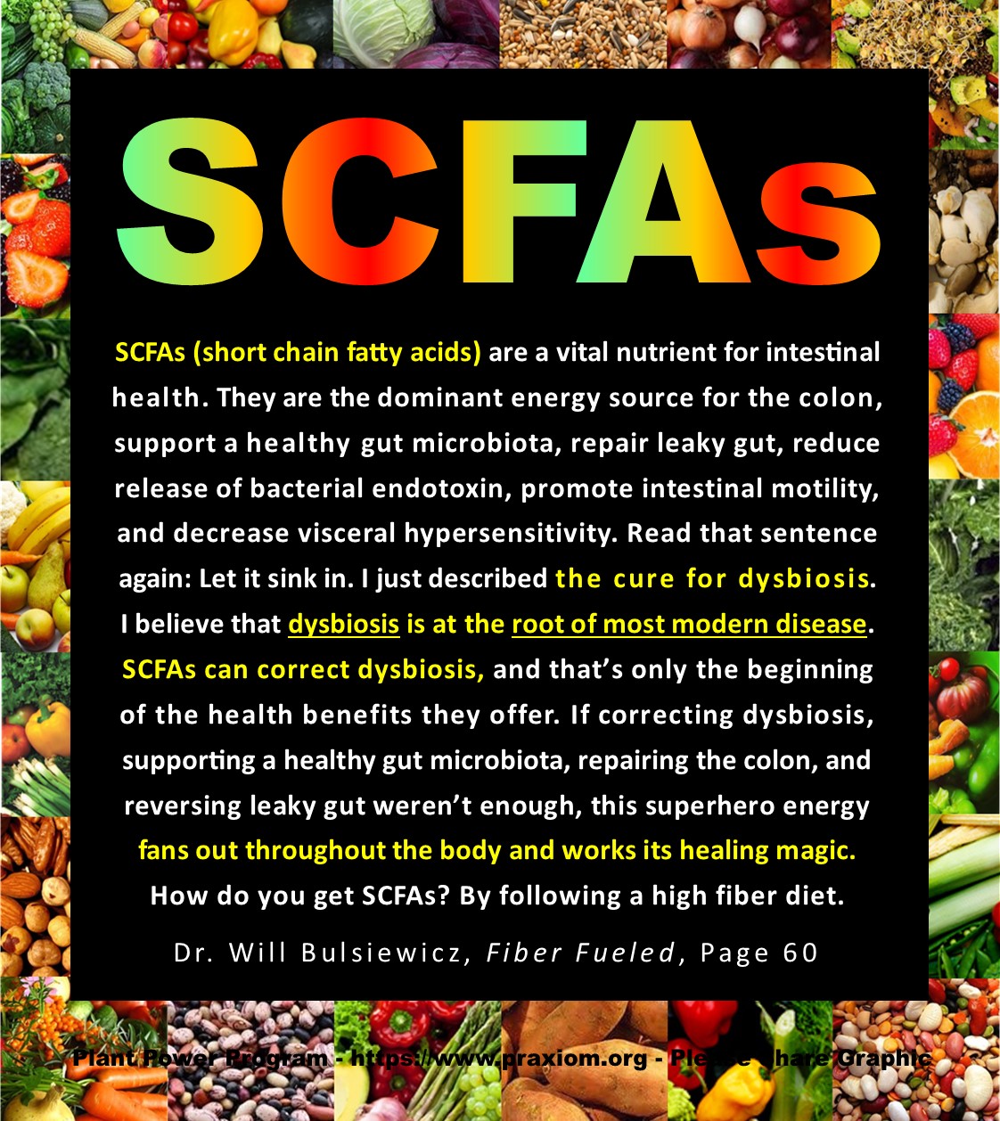 SCFAs - Dr Will Bulsiewicz