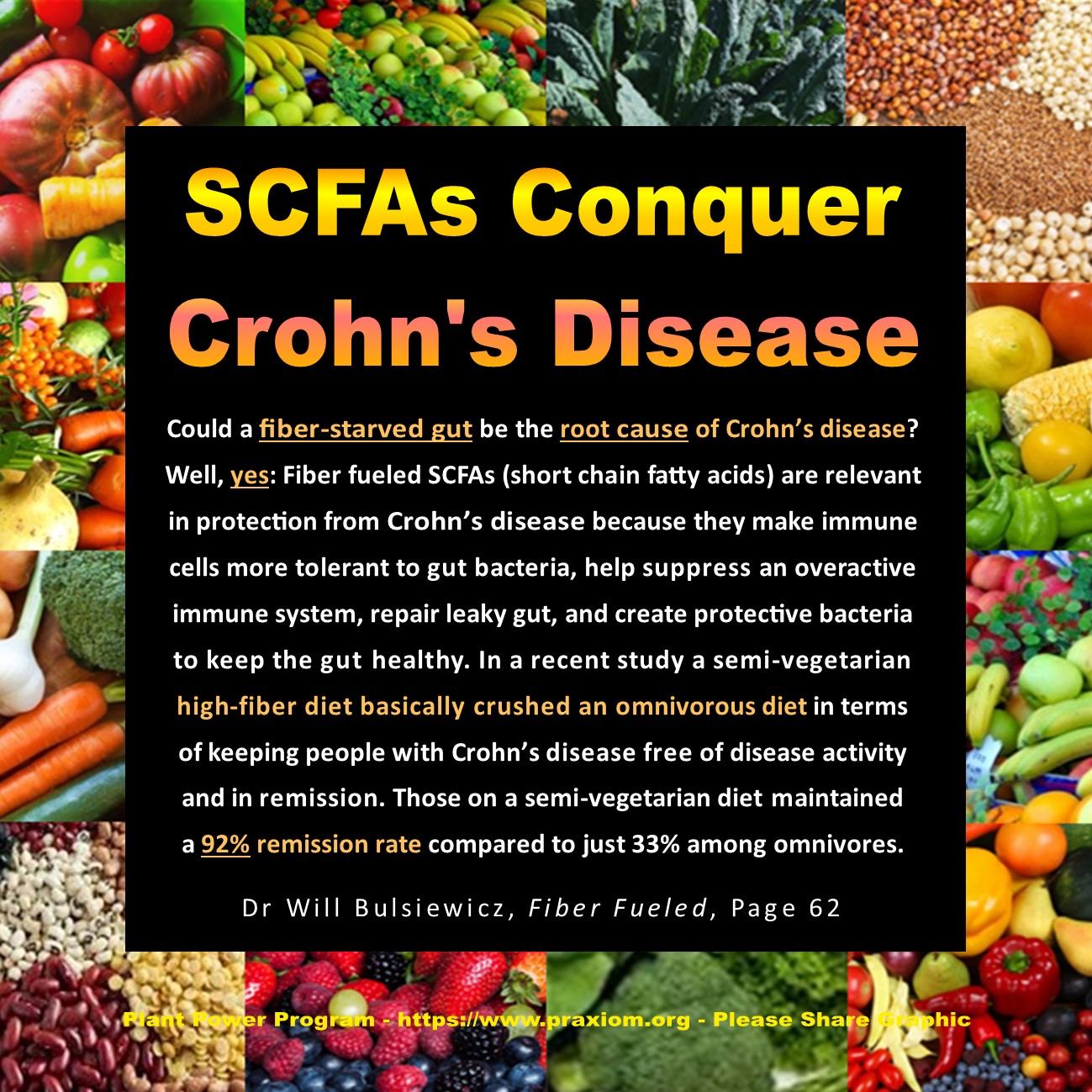 SCFAs Conquer Crohn's Disease - Dr Will Bulsiewicz