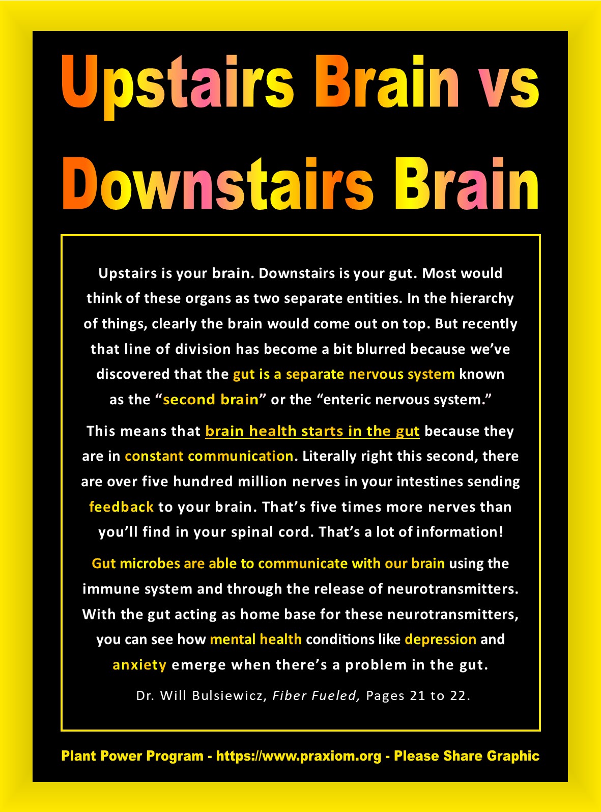 Your Upstairs Brain Talks to Your Downstairs Brain - Dr. Will Bulsiewicz