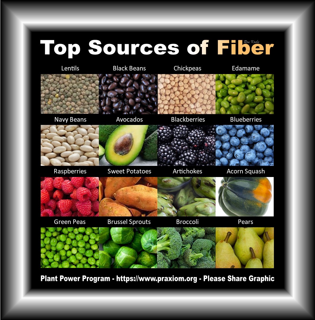 Top Sources of Fiber