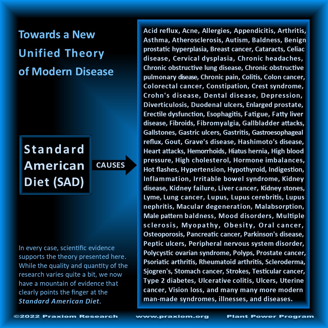 Towards a Unified Theory of Modern Disease - Ron Krebs