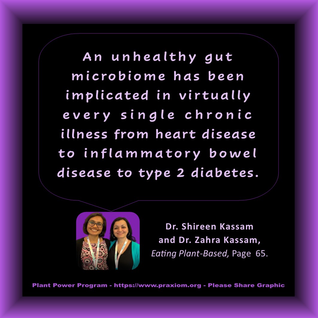Unhealthy Gut Microbiome - Dr. Shireen Kassam and Dr. Zahra Kassam