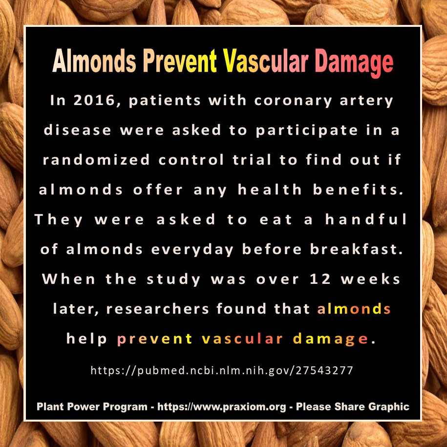 Use Almonds to Prevent Vascular Damage
