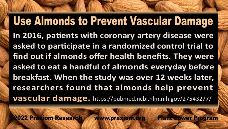 Use
        Almonds to Prevent Vascular Damage