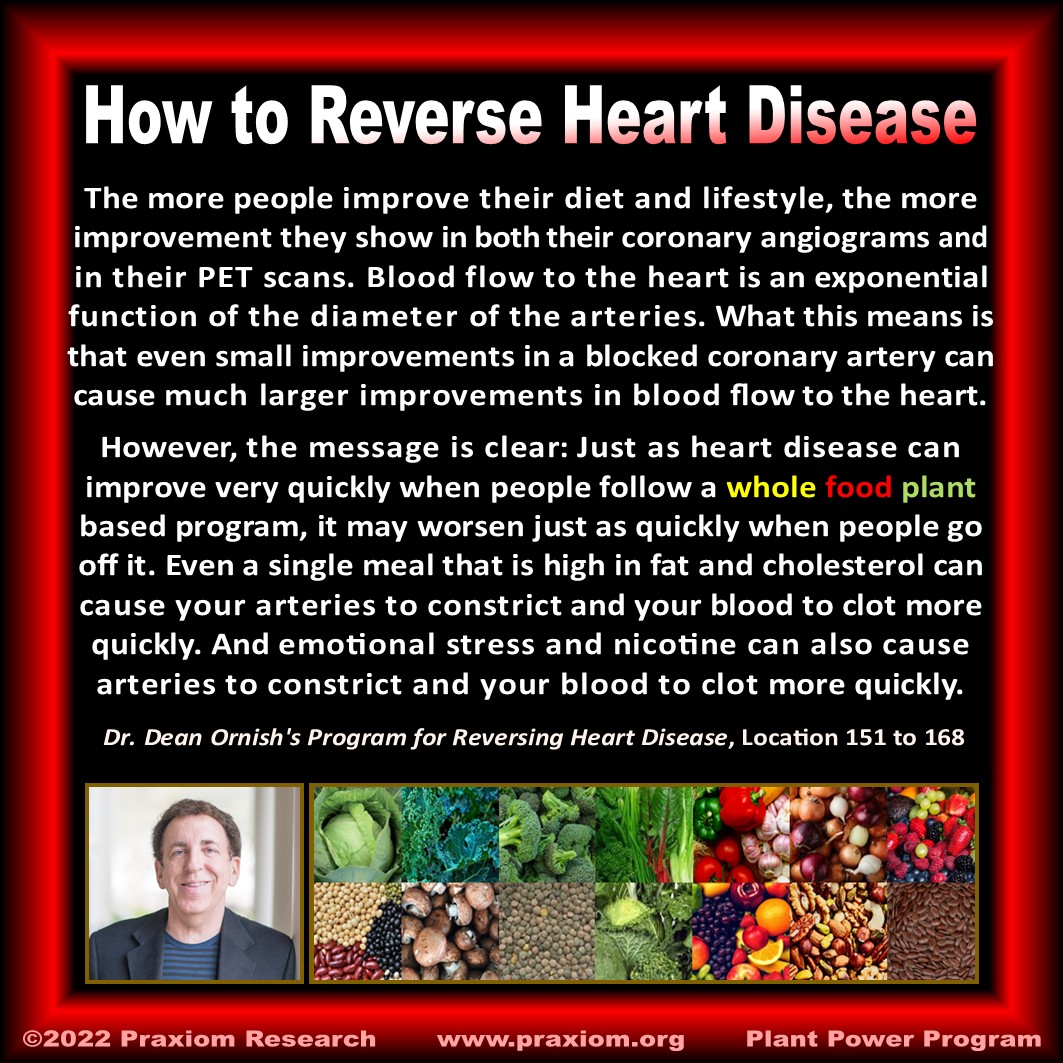 How to Reverse Heart Disease - Dr. Dean Ornish