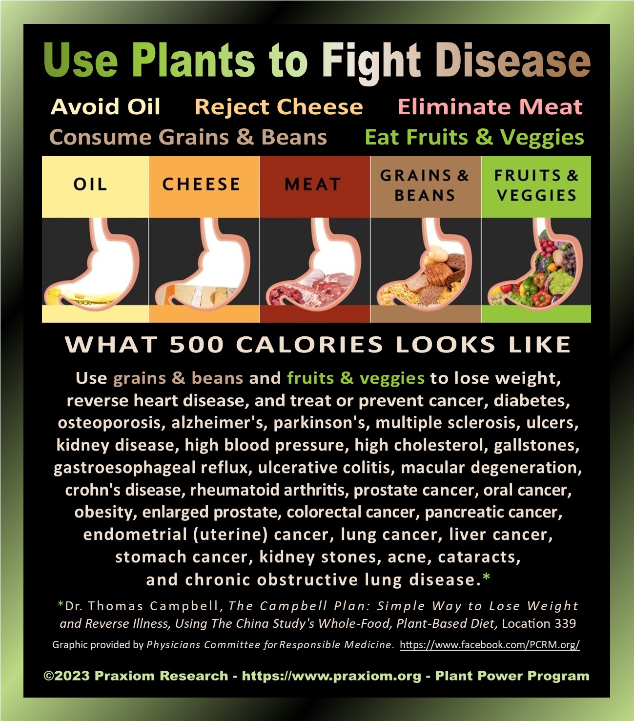 Use Plants
        to Fight Alzheimer's Disease