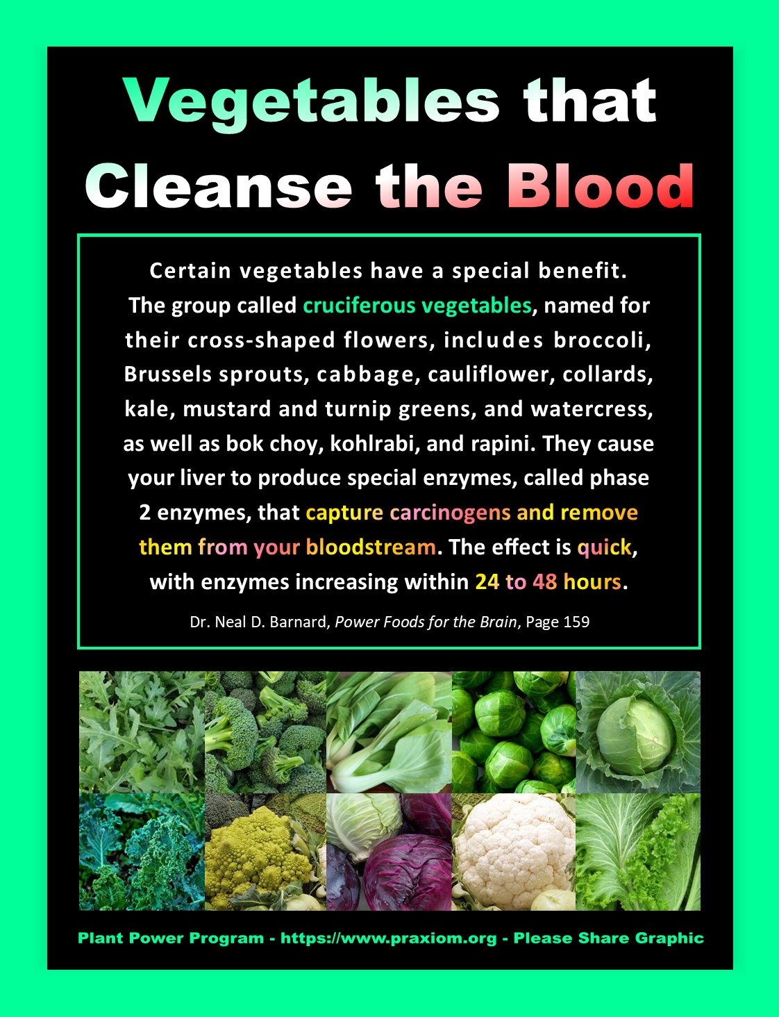 Vegetables that Cleanse the Blood - Dr. Neal Barnard