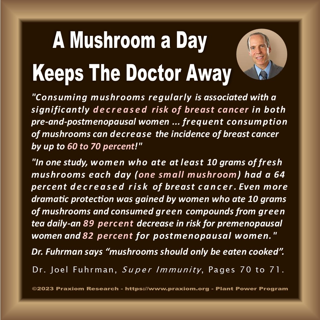 A Mushroom a Day Keeps the Doctor Away