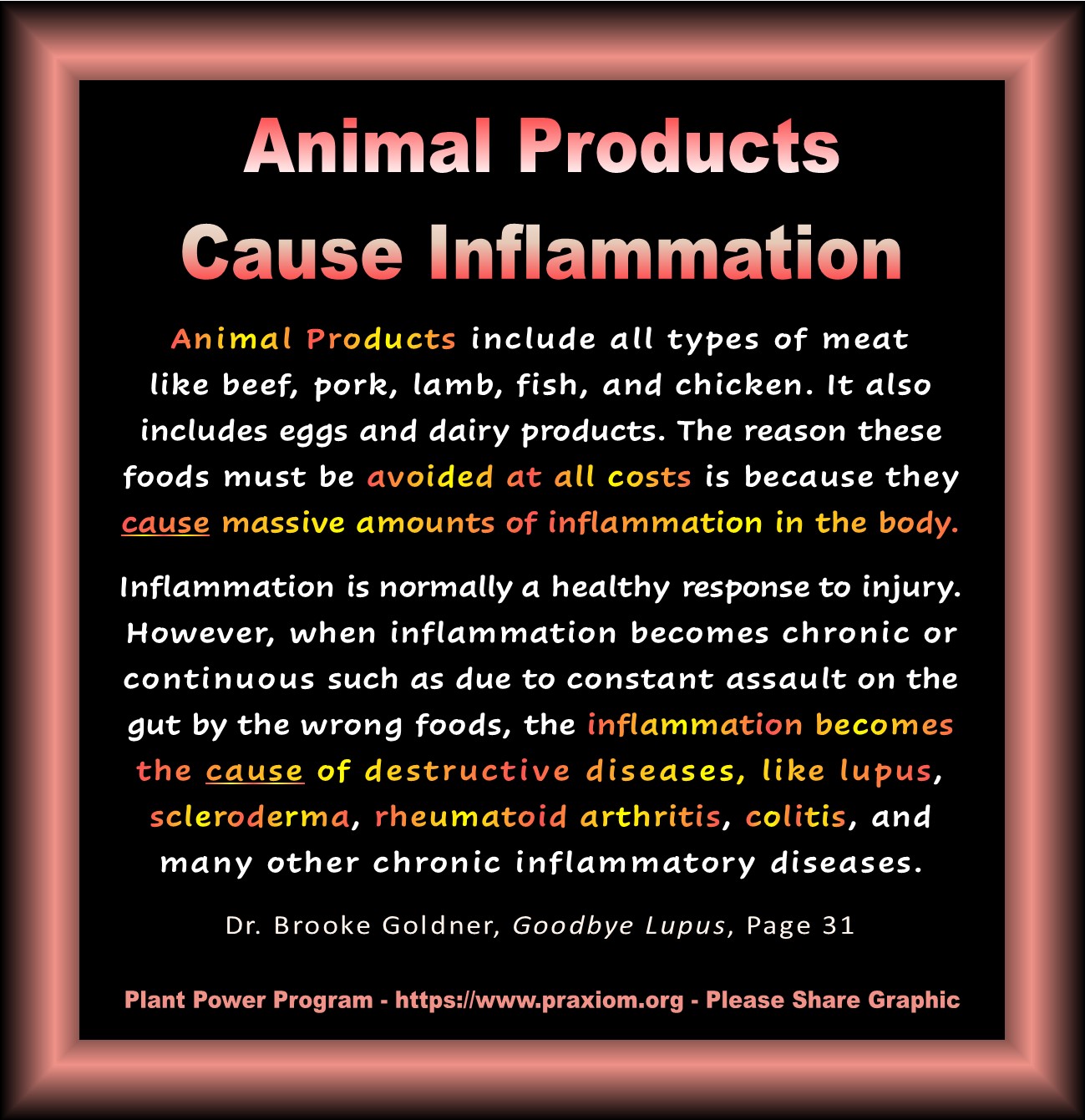 Animal Products Cause Inflammation - Dr. Brooke Goldner