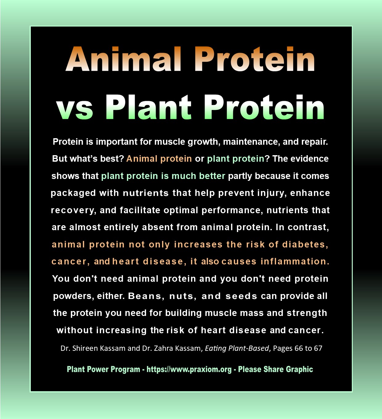 Animal Protein vs Plant Protein - Kassam