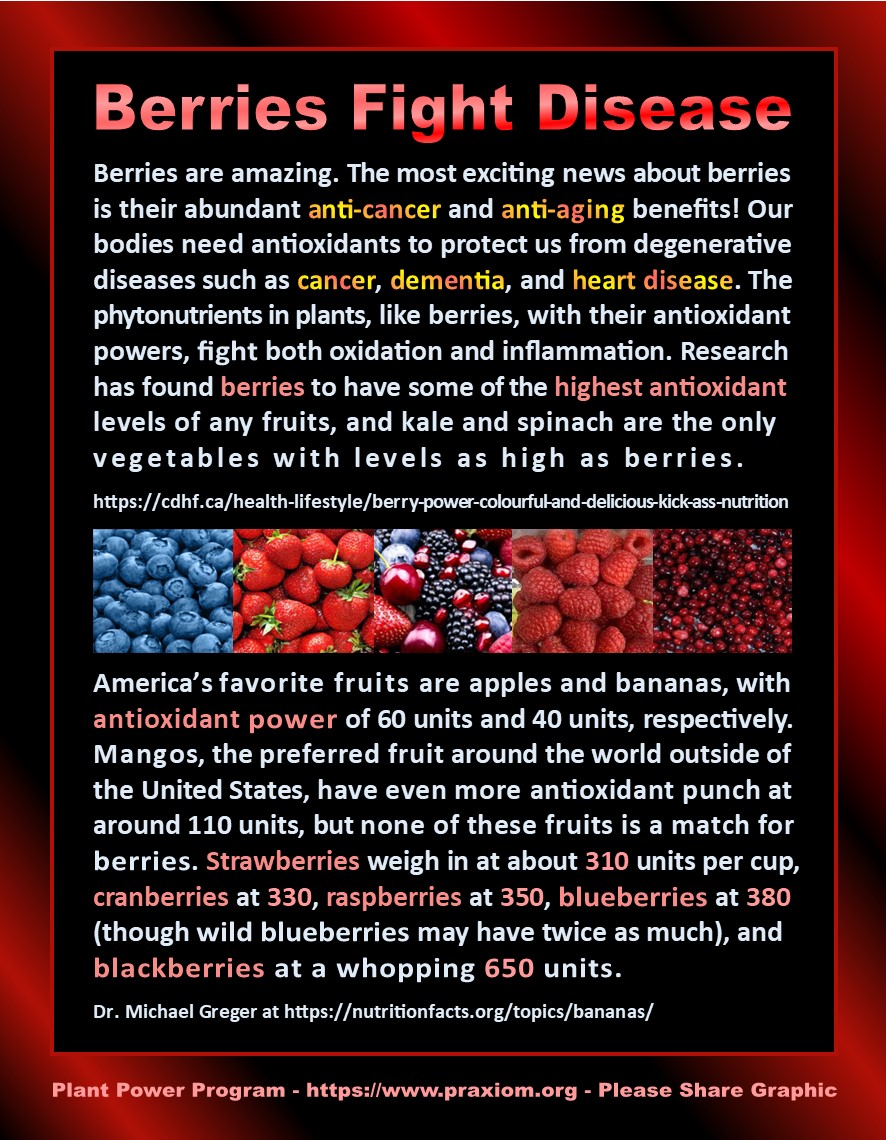 Berries Fight Disease