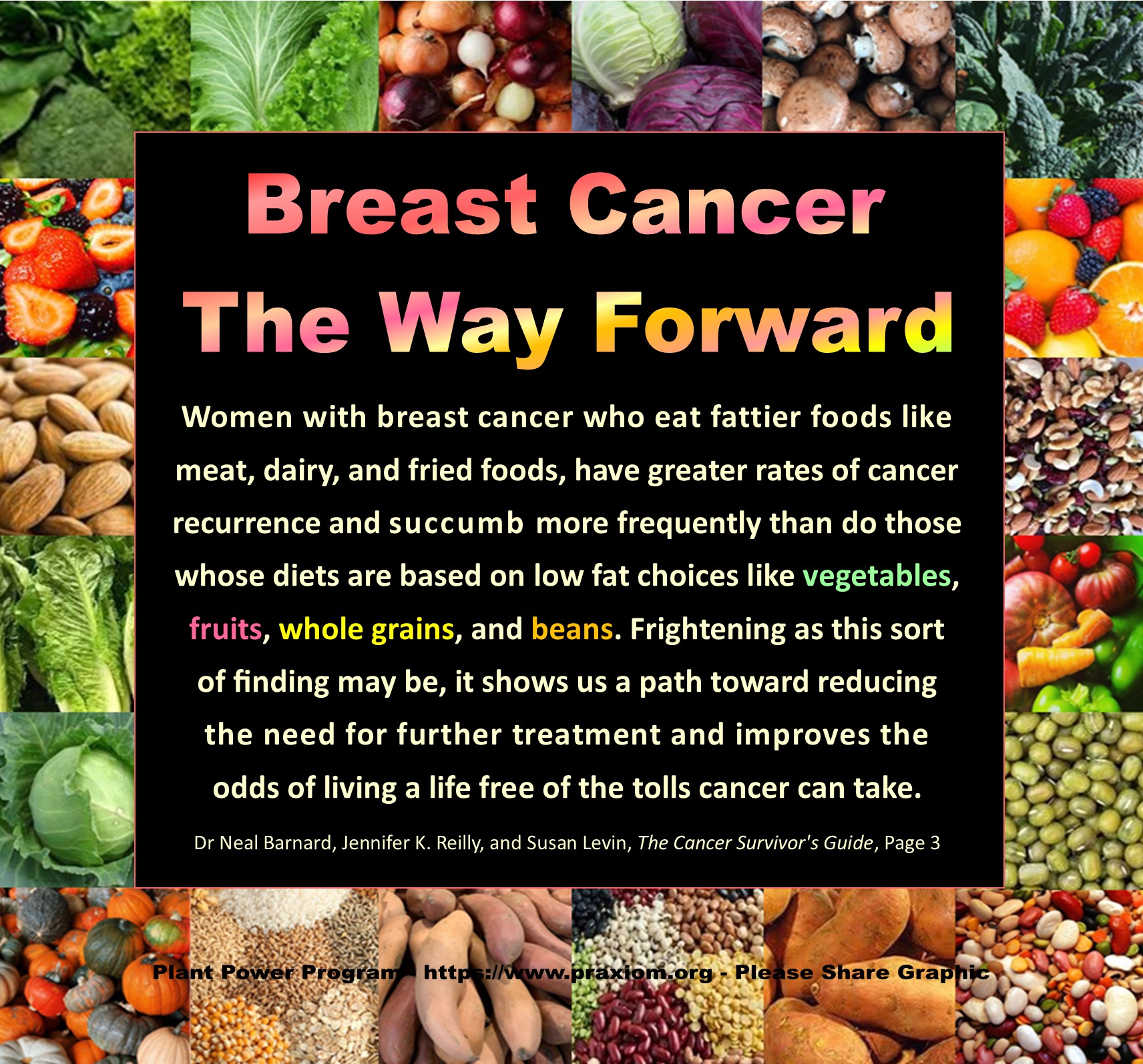 Breast Cancer: The Way Forward - Dr Neal Barnard