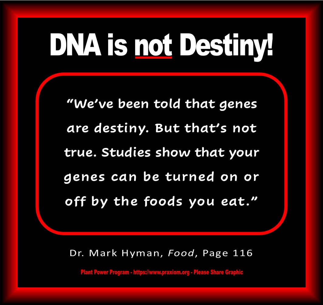 DNA is not Destiny - Dr. Mark Hyman